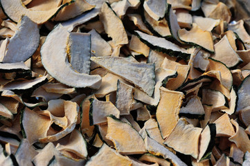 drying pumpkin in the sunshine