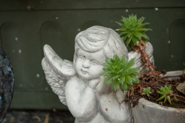ange au cimetière et plante grasse