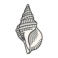 Shell