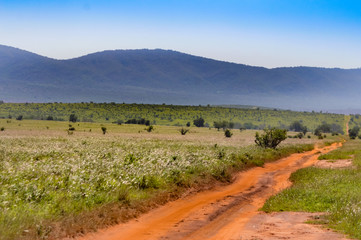 Fototapeta premium View of the Tsavo East savannah
