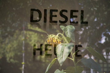 Umweltstatus Dieselmotor heute