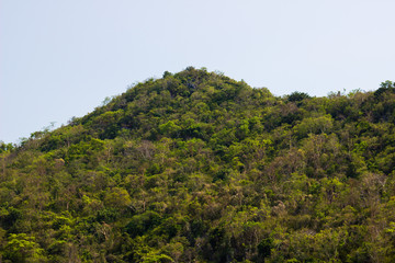 fishing boat,  Natural View in Island : Trip to Sichang Island in Thailand