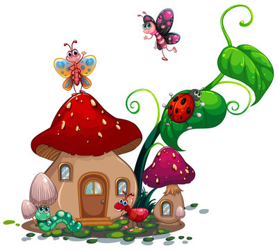 Mushroom house with many insects