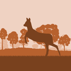 Roe deer in forest field with sunset and trees vector background