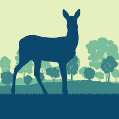 Roe deer in forest field with sunset and trees vector background