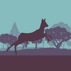 Roe deer in forest field with sunset and trees vector background © kstudija