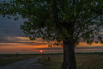Fototapeta premium Sunset