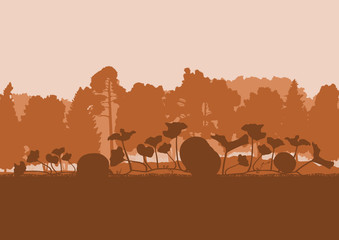 Pumpkin field in front of forest sunset vector