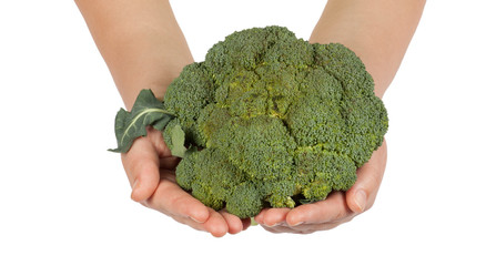 Naklejka na ściany i meble Fresh green broccoli