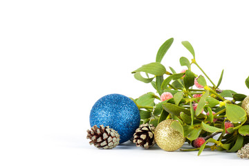 Green mistletoe isolated