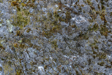stone close-up