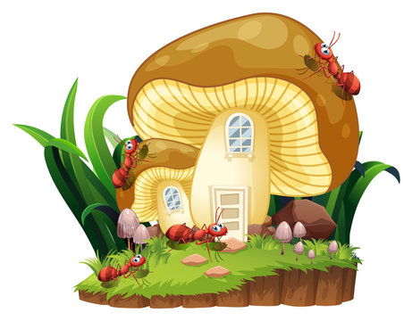 Red ants and mushroom house in garden