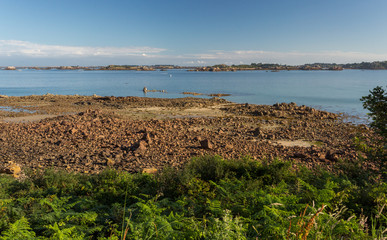 Plage et rochers à marée basse