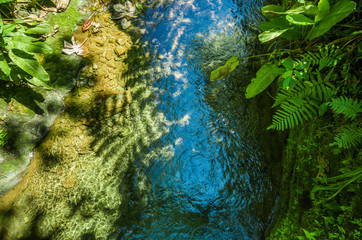 Top view of a natural pond inside of a green forest with stones in river at Mindo