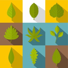 Summer leaf icon set, flat style