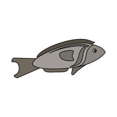 fish food icon image vector illustration design 