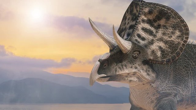 dinosaur triceraptor on the background of nature  render 3D