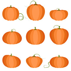 Pumpkin icon set. Vector vegetables. Flat style.
