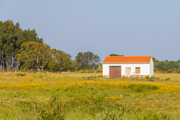 Obraz premium Farm House in Odeceixe
