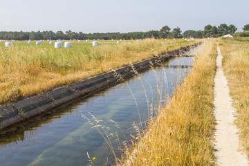 Farm Irrigation channel and Hay piles in Odeceixe