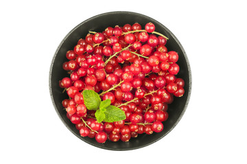 Redcurrants in bowl on a white background