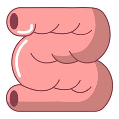Large intestine icon, cartoon style