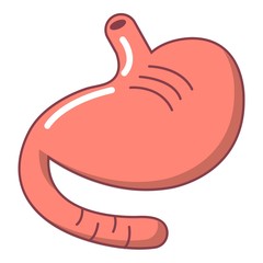 Stomach icon, cartoon style