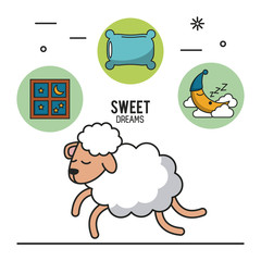 Sweet dreams and good sleep infographic over white background vector illustration graphic design