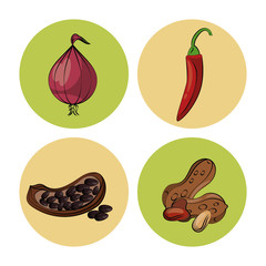 Herbs and spices icons over white background vector illustration graphic design