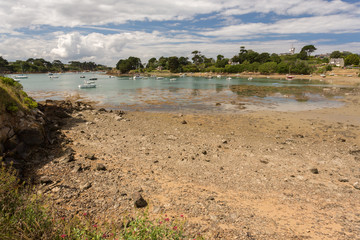 Marée basse sur l'île de Bréhat