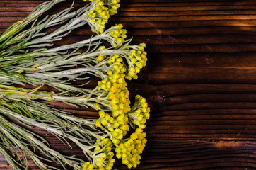 Medicinal plant helichrysum arenarium on wooden table. Top view