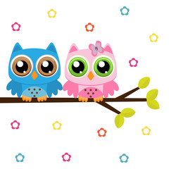 Owls on a branch 
