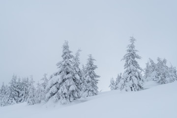 Fantastic winter landscape