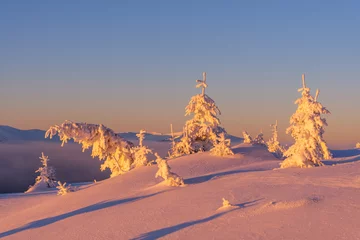 Foto op Plexiglas Dramatic wintry scene with snowy trees. © Ivan Kmit