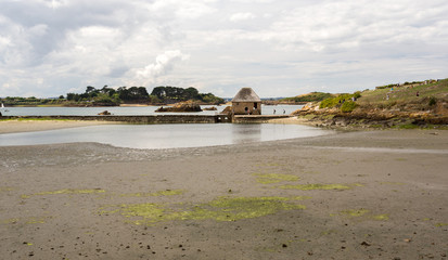 Marée basse au moulin