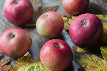fall red apples on wooden background