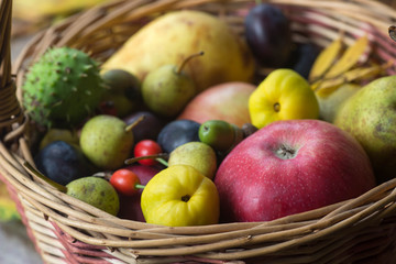 Naklejka na ściany i meble fall fruits in basket still life