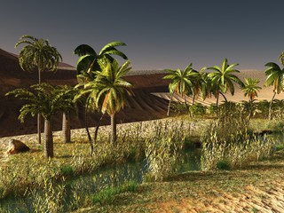 Beautiful natural background -African oasis 3d rendering