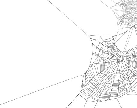 Black Spider Web Silhouette On White Vector Background