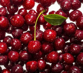 Freshly red cherry berries with water droplets. Healthy food background