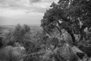 Landscape in the natural area of Valcorchero, near Plasencia. Extremadura. Spain.