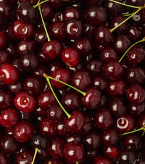 Freshly red cherry berries with water droplets. Healthy food background