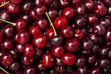 Freshly red cherry berries with water droplets. Healthy food background