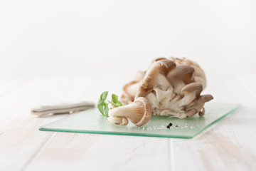 Raw oyster mushrooms on white background