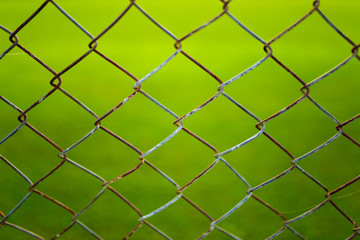 Fototapeta premium wire mesh steel with green grass background.