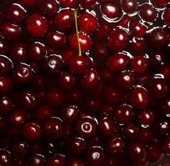 Ripe fresh rich cherries in water. Fruit background.