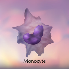Leukocytes. Monocyte. White blood cell. Blurred background, vector medical illustration.
