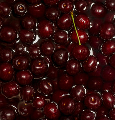 Ripe fresh rich cherries in water. Fruit background.