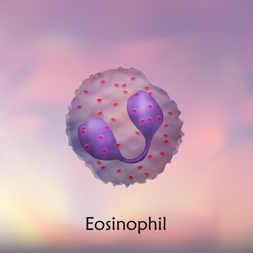 Eosinophil. Leukocytes. White blood cell. Blurred background, vector medical illustration.