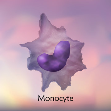 Leukocytes. Monocyte. White blood cell. Blurred background, vector medical illustration.